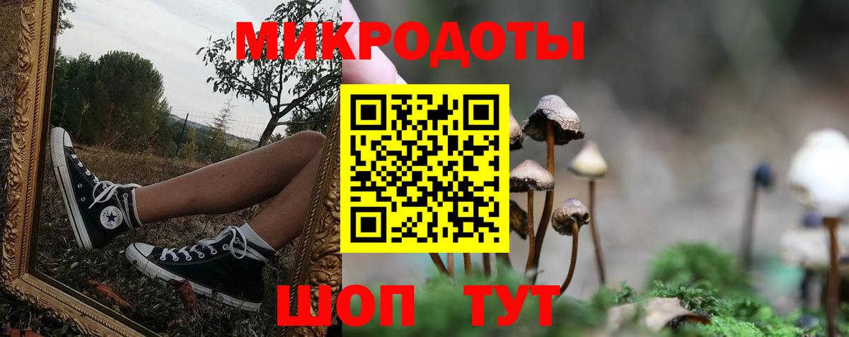 Галлюциногенные грибы мицелий Нефтекумск
