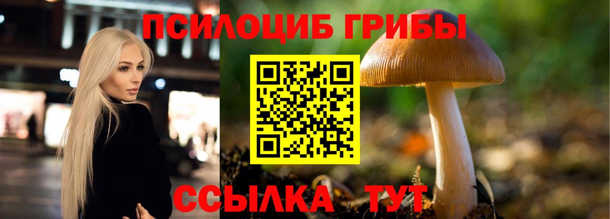 Галлюциногенные грибы мухоморы  Вход с VPN  где найти наркотики  Нефтекумск 